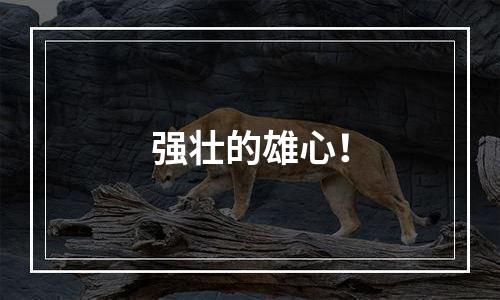 强壮的雄心！