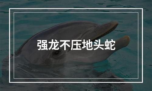 强龙不压地头蛇