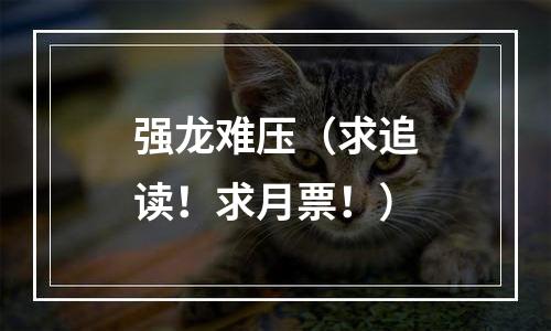 强龙难压（求追读！求月票！）
