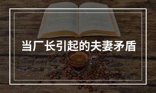 当厂长引起的夫妻矛盾