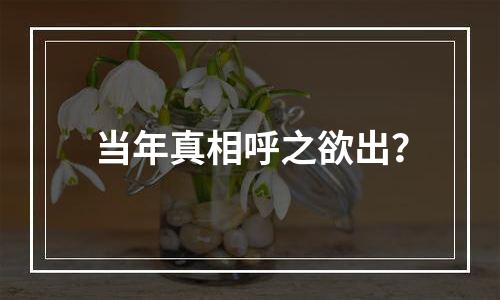 当年真相呼之欲出？