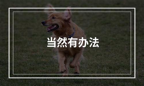 当然有办法