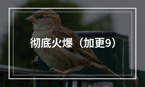 彻底火爆（加更9）