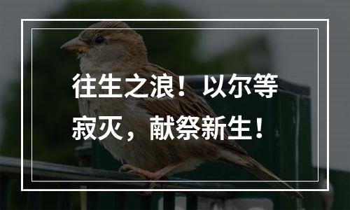 往生之浪！以尔等寂灭，献祭新生！