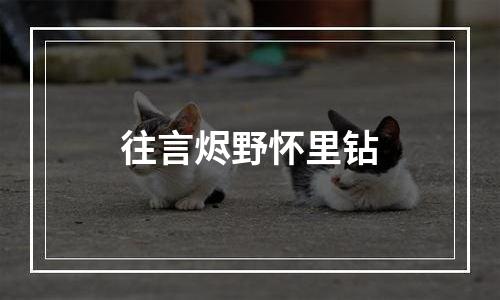 往言烬野怀里钻