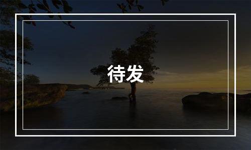 待发