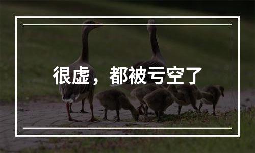 很虚，都被亏空了