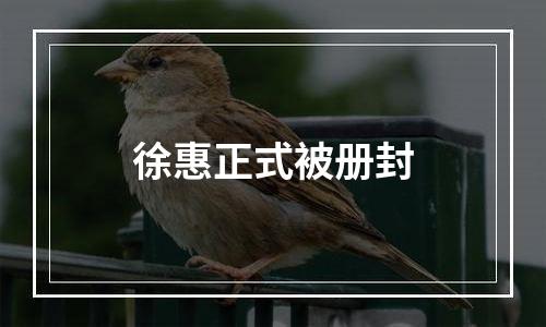 徐惠正式被册封