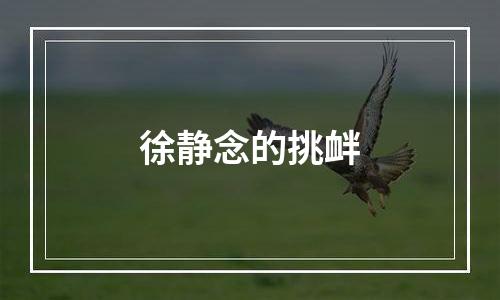 徐静念的挑衅