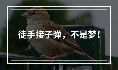 徒手接子弹，不是梦！