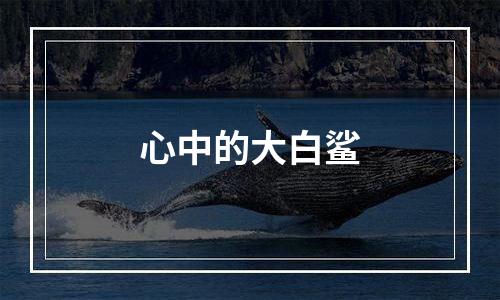 心中的大白鲨