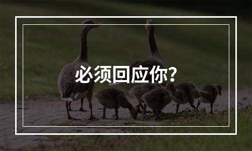 必须回应你？