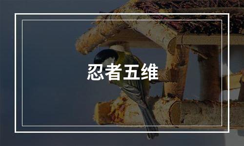 忍者五维