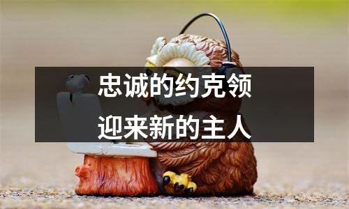 忠诚的约克领迎来新的主人