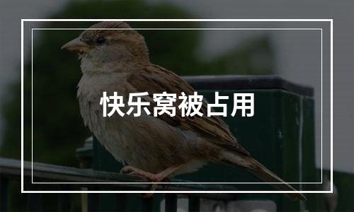 快乐窝被占用