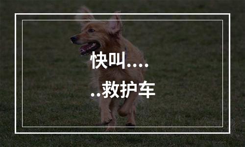 快叫......救护车