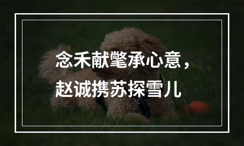 念禾献氅承心意，赵诚携苏探雪儿