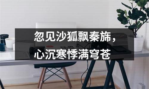 忽见沙狐飘秦旆，心沉寒悸满穹苍