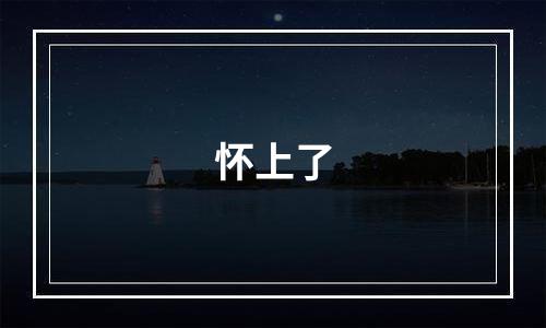 怀上了