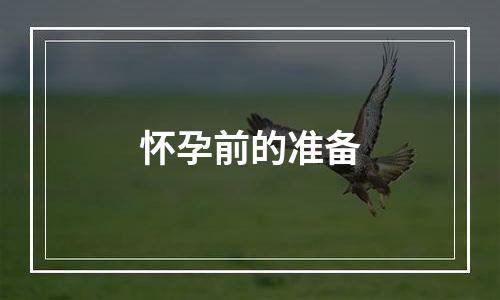 怀孕前的准备