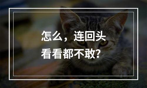 怎么，连回头看看都不敢？