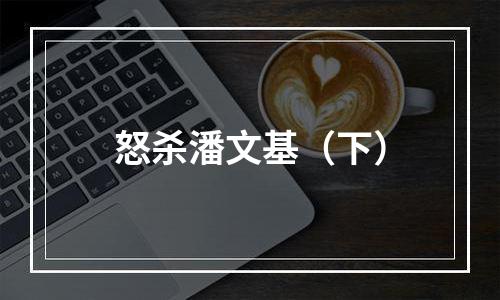 怒杀潘文基（下）