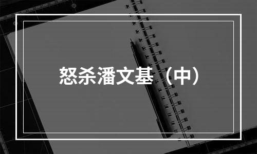 怒杀潘文基（中）