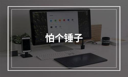 怕个锤子