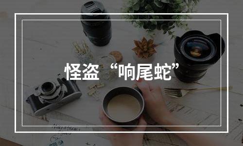 怪盗“响尾蛇”
