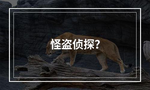 怪盗侦探？