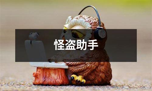 怪盗助手