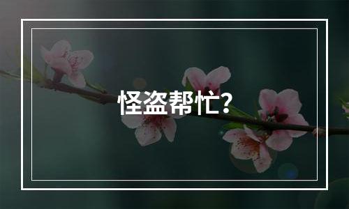 怪盗帮忙？