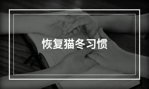 恢复猫冬习惯