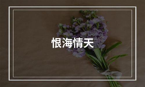 恨海情天