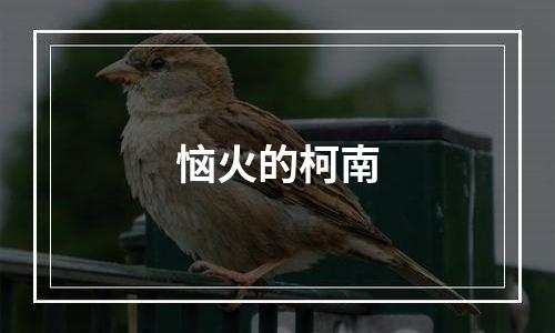 恼火的柯南