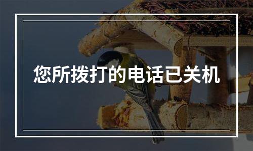 您所拨打的电话已关机
