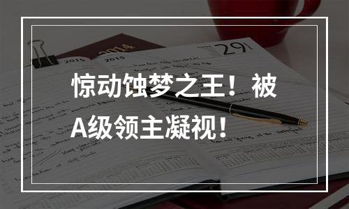 惊动蚀梦之王！被A级领主凝视！