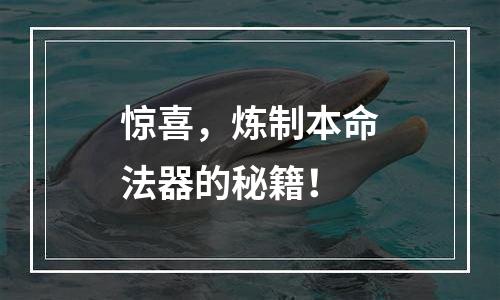 惊喜，炼制本命法器的秘籍！