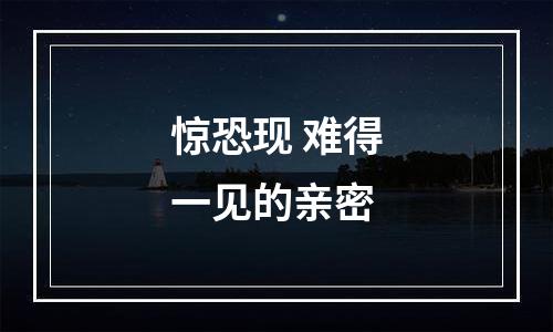 惊恐现 难得一见的亲密