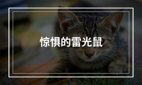 惊惧的雷光鼠