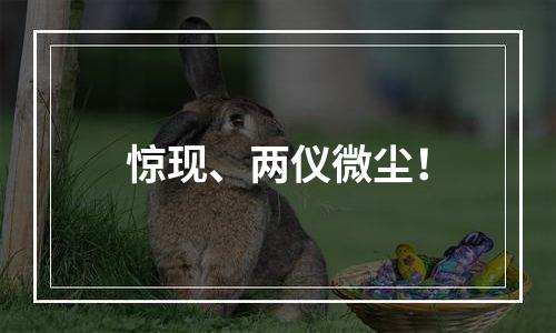 惊现、两仪微尘！