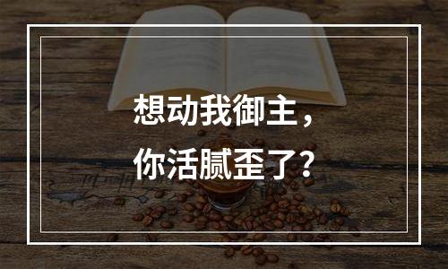 想动我御主，你活腻歪了？