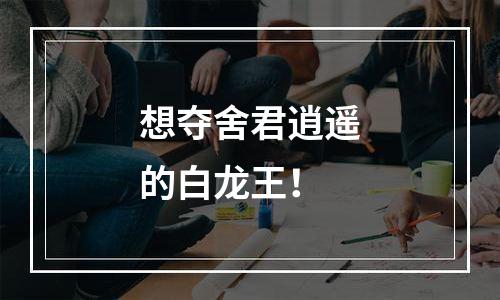 想夺舍君逍遥的白龙王！