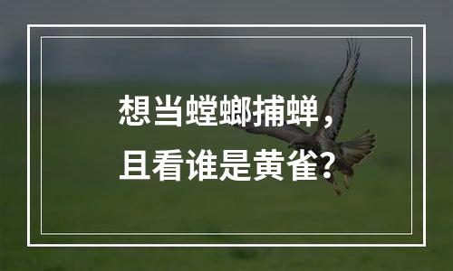 想当螳螂捕蝉，且看谁是黄雀？