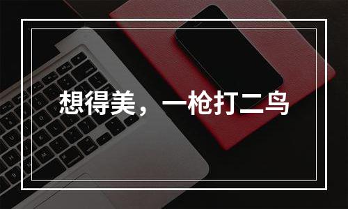 想得美，一枪打二鸟