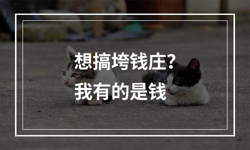 想搞垮钱庄？我有的是钱