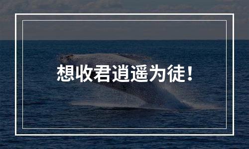 想收君逍遥为徒！