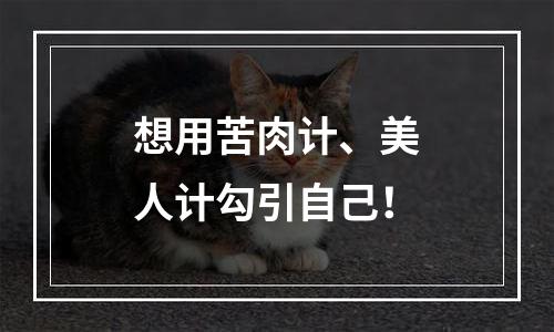 想用苦肉计、美人计勾引自己！