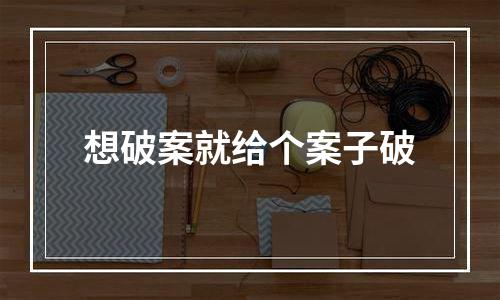 想破案就给个案子破
