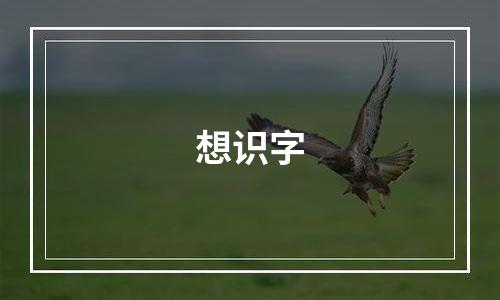 想识字